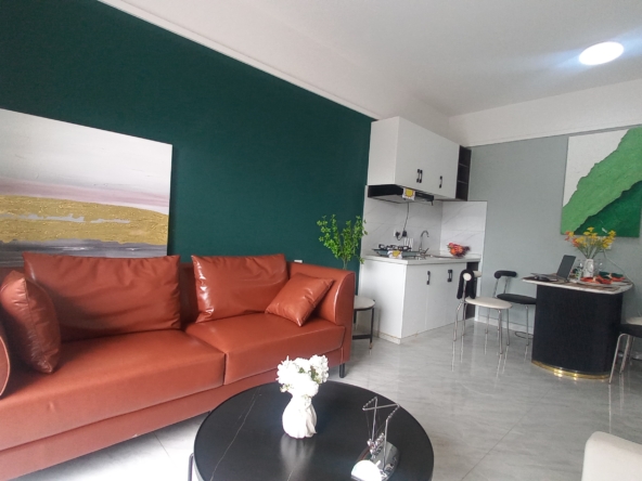 Alba Apartments Modern 2-Bedroom Apartments 1`Bedroom Apartment