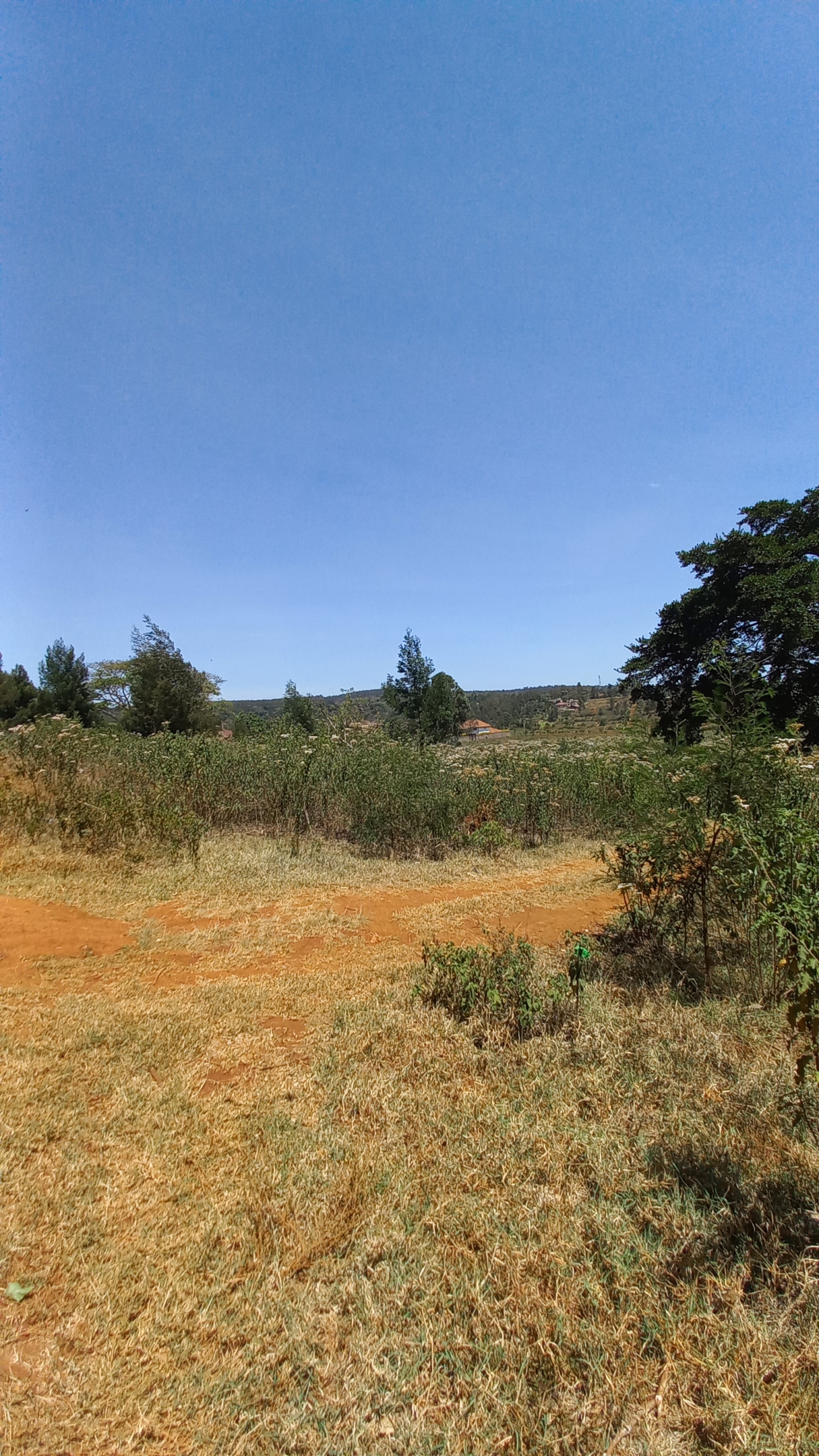 PRIME RESIDENTIAL PLOTS FOR SALE – KERARAPON DRIVE, NGONG (NEXT TO KAREN)